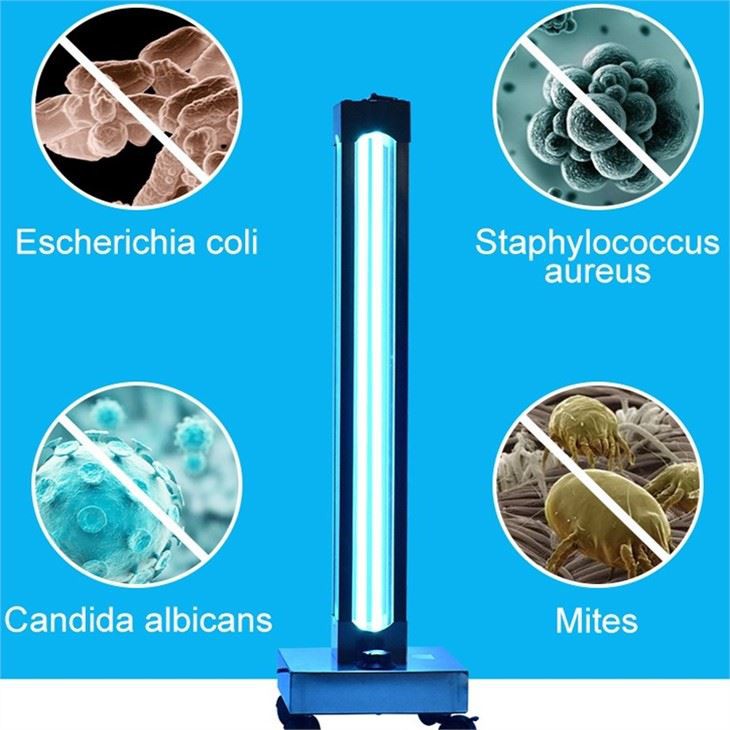 Esterilitzador de llum UV mòbil